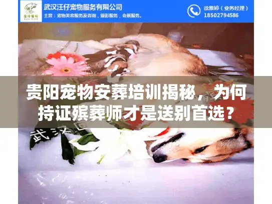 贵阳宠物安葬培训揭秘，为何持证殡葬师才是送别首选？