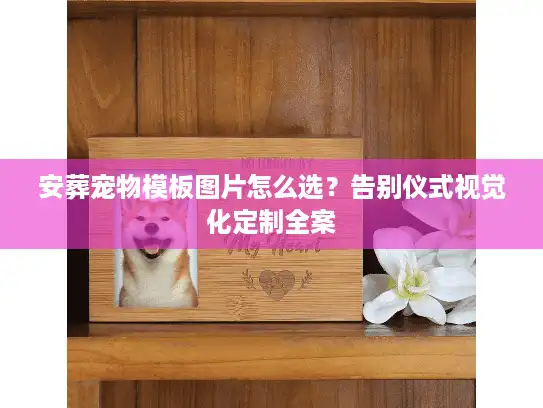 安葬宠物模板图片怎么选？告别仪式视觉化定制全案