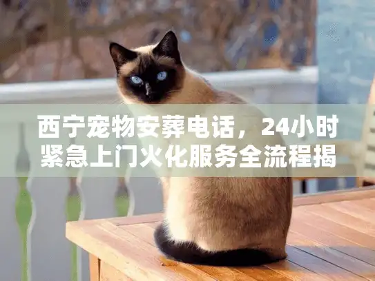西宁宠物安葬电话，24小时紧急上门火化服务全流程揭秘