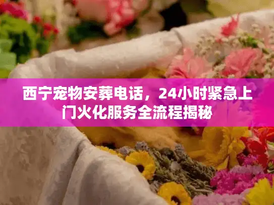 西宁宠物安葬电话，24小时紧急上门火化服务全流程揭秘