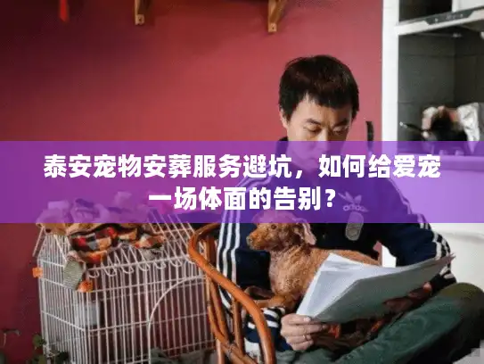 泰安宠物安葬服务避坑，如何给爱宠一场体面的告别？