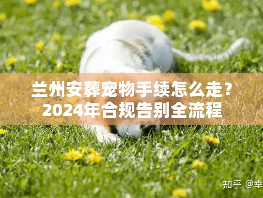 兰州安葬宠物手续怎么走？2024年合规告别全流程
