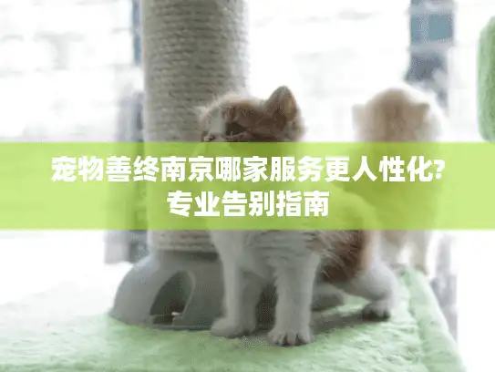 宠物善终南京哪家服务更人性化?专业告别指南