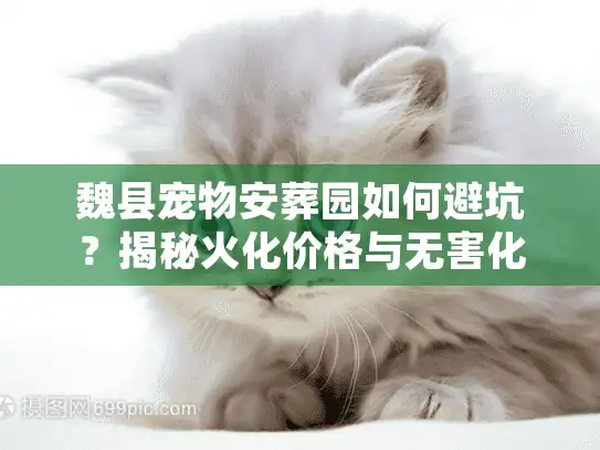 魏县宠物安葬园如何避坑？揭秘火化价格与无害化处理真相