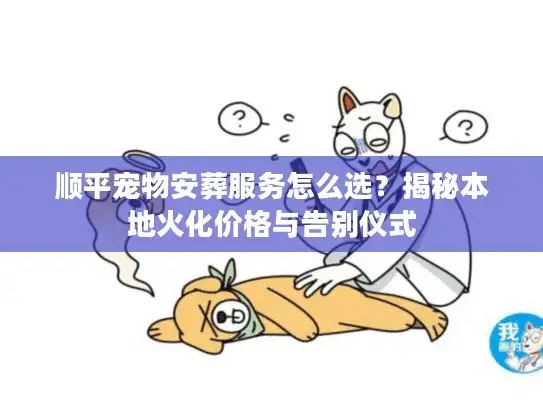 顺平宠物安葬服务怎么选？揭秘本地火化价格与告别仪式