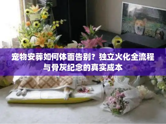 宠物安葬如何体面告别？独立火化全流程与骨灰纪念的真实成本