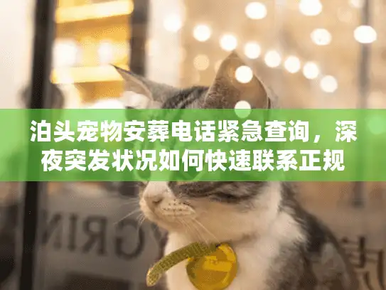 泊头宠物安葬电话紧急查询，深夜突发状况如何快速联系正规团队