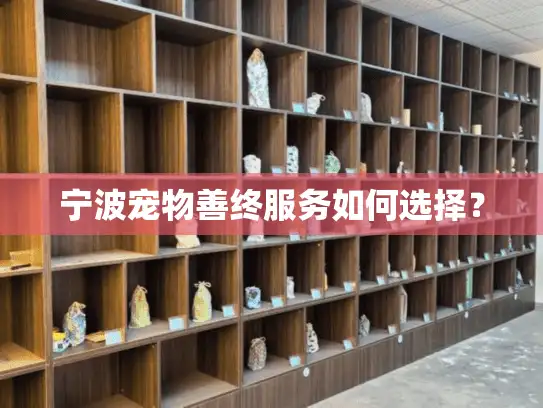宁波宠物善终服务如何选择？