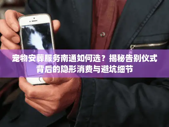 宠物安葬服务南通如何选？揭秘告别仪式背后的隐形消费与避坑细节