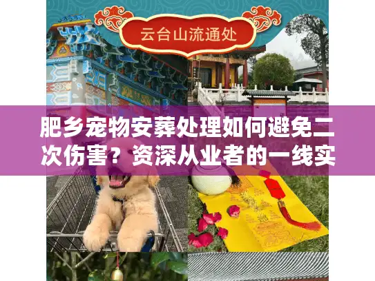 肥乡宠物安葬处理如何避免二次伤害？资深从业者的一线实录