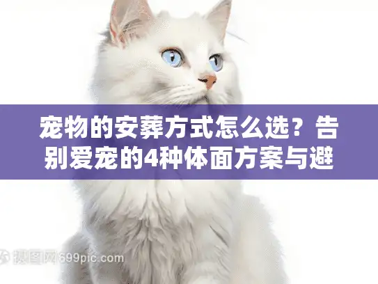 宠物的安葬方式怎么选？告别爱宠的4种体面方案与避坑细节