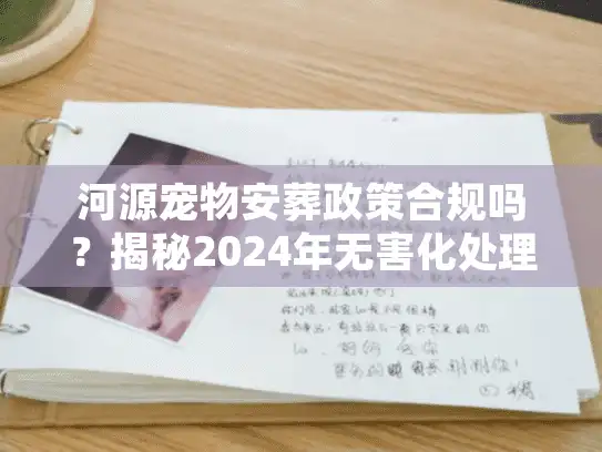 河源宠物安葬政策合规吗？揭秘2024年无害化处理红线与告别