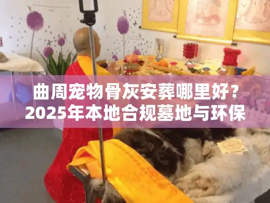 曲周宠物骨灰安葬哪里好？2025年本地合规墓地与环保树葬全解析