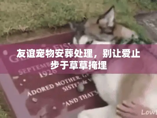 友谊宠物安葬处理，别让爱止步于草草掩埋