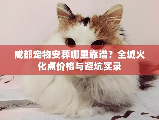 成都宠物安葬哪里靠谱？全城火化点价格与避坑实录