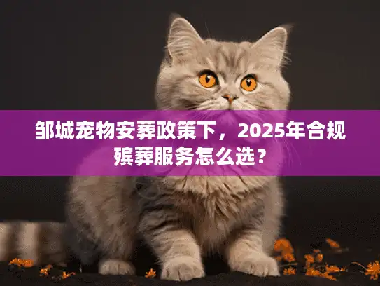 邹城宠物安葬政策下，2025年合规殡葬服务怎么选？