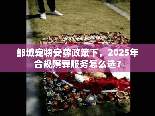 邹城宠物安葬政策下，2025年合规殡葬服务怎么选？