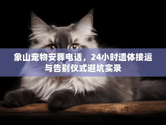 象山宠物安葬电话，24小时遗体接运与告别仪式避坑实录