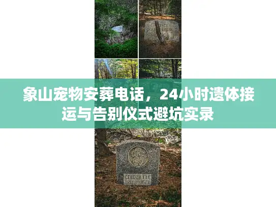 象山宠物安葬电话，24小时遗体接运与告别仪式避坑实录