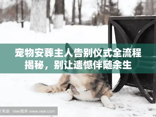 宠物安葬主人告别仪式全流程揭秘，别让遗憾伴随余生