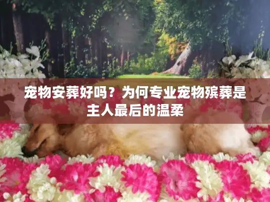 宠物安葬好吗？为何专业宠物殡葬是主人最后的温柔