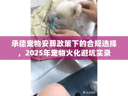 承德宠物安葬政策下的合规选择，2025年宠物火化避坑实录