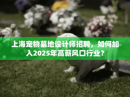 上海宠物墓地设计师招聘，如何加入2025年高薪风口行业？