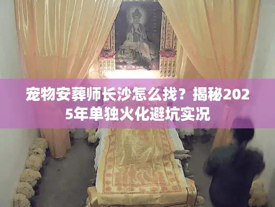 宠物安葬师长沙怎么找？揭秘2025年单独火化避坑实况