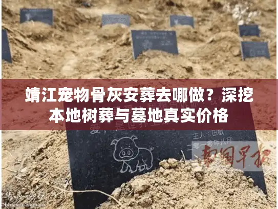 靖江宠物骨灰安葬去哪做？深挖本地树葬与墓地真实价格