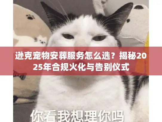 逊克宠物安葬服务怎么选？揭秘2025年合规火化与告别仪式