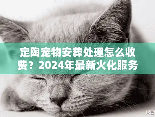 定陶宠物安葬处理怎么收费？2024年最新火化服务避坑实录