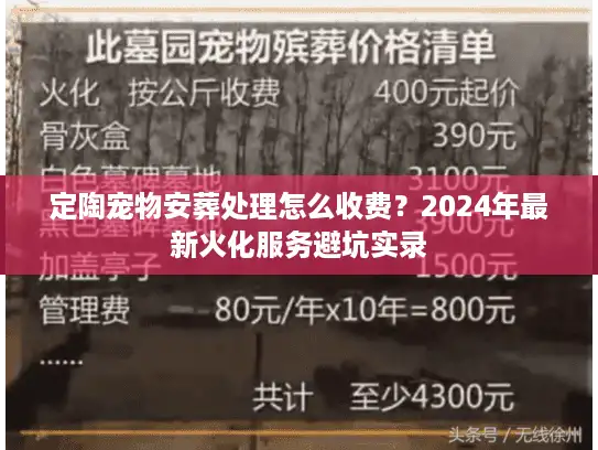 定陶宠物安葬处理怎么收费？2024年最新火化服务避坑实录