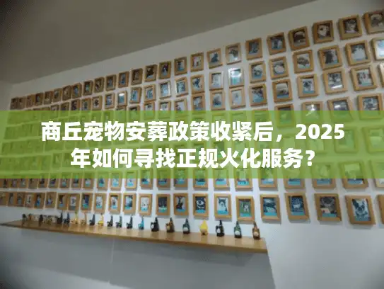 商丘宠物安葬政策收紧后，2025年如何寻找正规火化服务？