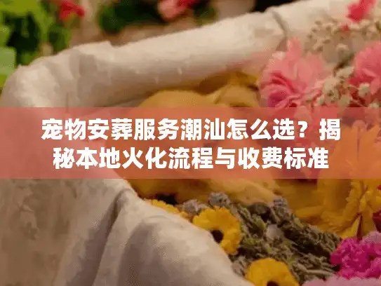 宠物安葬服务潮汕怎么选？揭秘本地火化流程与收费标准