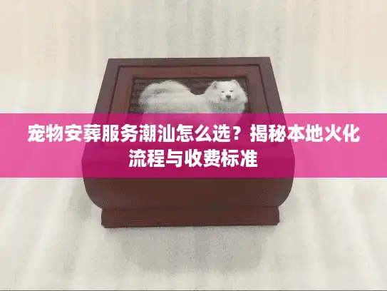 宠物安葬服务潮汕怎么选？揭秘本地火化流程与收费标准