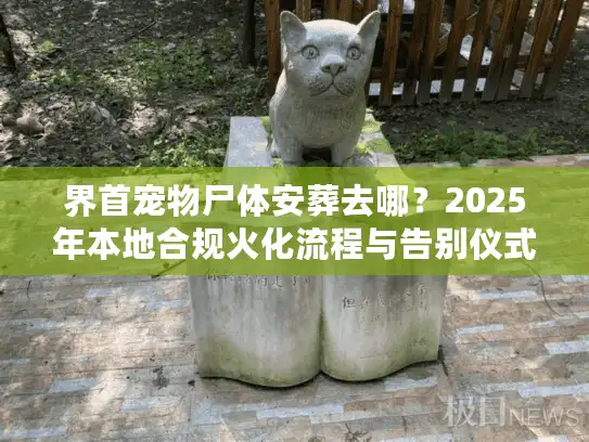 界首宠物尸体安葬去哪？2025年本地合规火化流程与告别仪式避坑细节