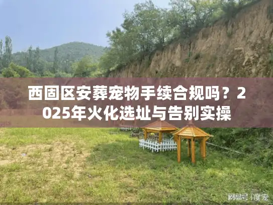 西固区安葬宠物手续合规吗？2025年火化选址与告别实操