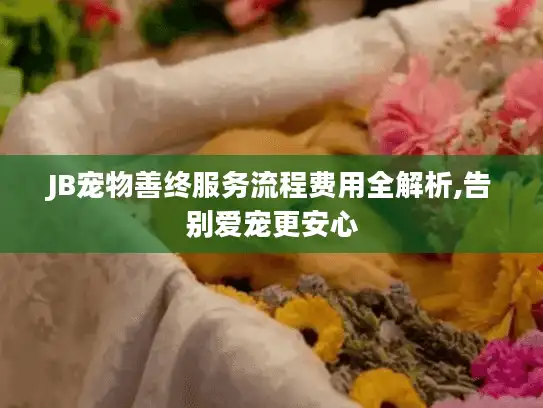 JB宠物善终服务流程费用全解析,告别爱宠更安心