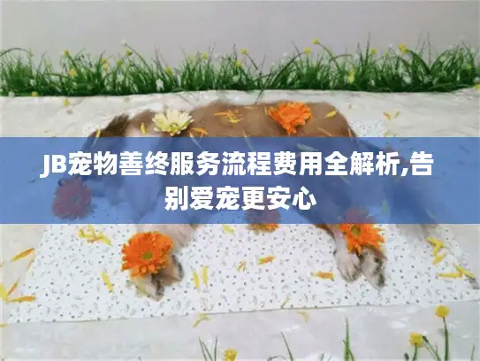 JB宠物善终服务流程费用全解析,告别爱宠更安心