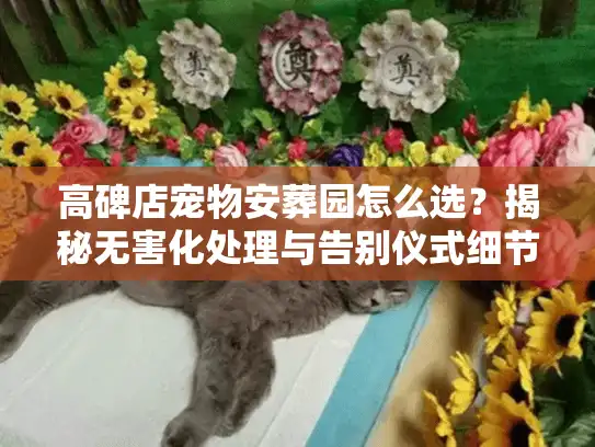 高碑店宠物安葬园怎么选？揭秘无害化处理与告别仪式细节