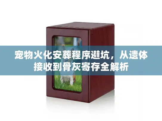 宠物火化安葬程序避坑，从遗体接收到骨灰寄存全解析