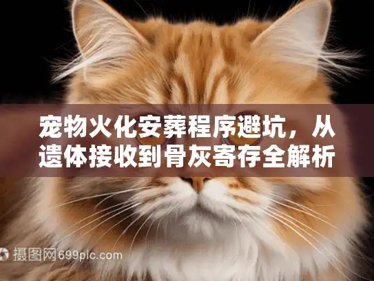 宠物火化安葬程序避坑，从遗体接收到骨灰寄存全解析