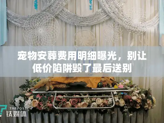 宠物安葬费用明细曝光，别让低价陷阱毁了最后送别
