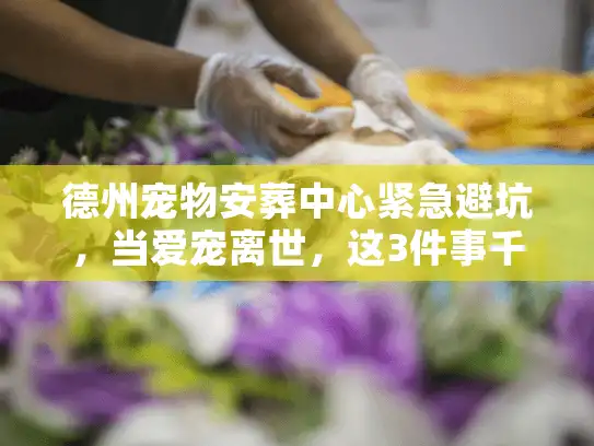 德州宠物安葬中心紧急避坑，当爱宠离世，这3件事千万别做