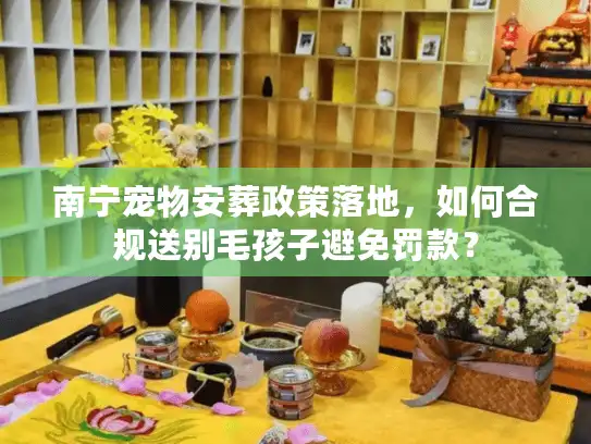 南宁宠物安葬政策落地，如何合规送别毛孩子避免罚款？