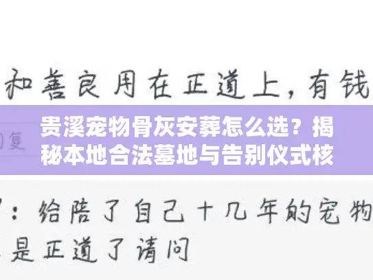 贵溪宠物骨灰安葬怎么选？揭秘本地合法墓地与告别仪式核心门道