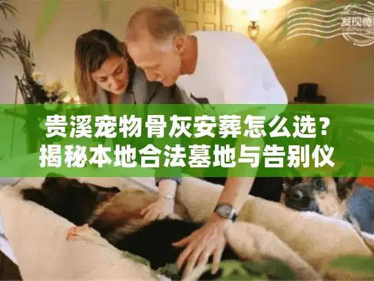 贵溪宠物骨灰安葬怎么选？揭秘本地合法墓地与告别仪式核心门道