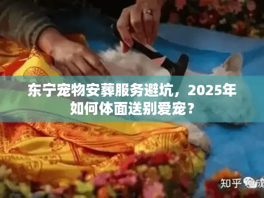 东宁宠物安葬服务避坑，2025年如何体面送别爱宠？