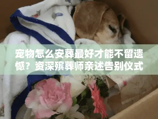 宠物怎么安葬最好才能不留遗憾？资深殡葬师亲述告别仪式的门道