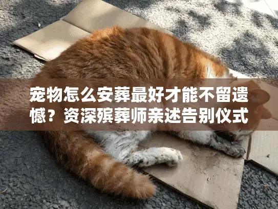 宠物怎么安葬最好才能不留遗憾？资深殡葬师亲述告别仪式的门道